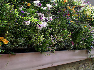 Showroom AIR GARDEN I "Jardín vertical sobre muro de piedra", AIR GARDEN AIR GARDEN Giardino moderno