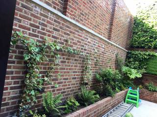 Climbers from raised bed Jane Harries Garden Designs climbing plants,raised bed