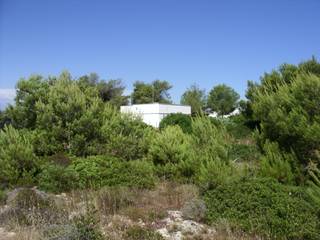 Tra Macchia e Mare, melle-metzen architects melle-metzen architects Minimalist houses