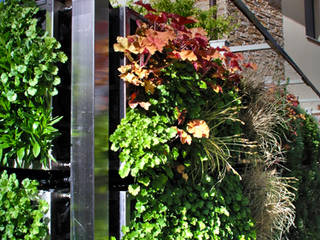 Showroom AIR GARDEN II "Cerramiento vegetal", AIR GARDEN AIR GARDEN Jardines de estilo moderno