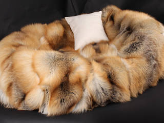 Hundebett aus Golden Island Füchsfell, Lars Paustian - International Fur Lars Paustian - International Fur Ruang Keluarga Gaya Skandinavia Bulu White