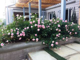 Gorgeous Gardens Сад