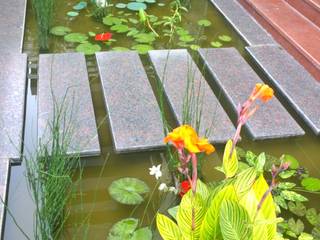 Natural Pond Entryway Cherry Gardens Tropical style garden Office,Lotus,modern office,steps,water garden,fountain