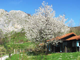 RUSTICASA | Cabañas Patagónicas | Primavera, RUSTICASA RUSTICASA Ticari alanlar Masif Ahşap Rengarenk