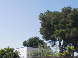 pinos, juan marco arquitectos juan marco arquitectos Casas de estilo mediterráneo