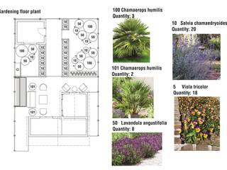 Diseño de Jardin en UK, Diseño de Locales Diseño de Locales Klasyczny ogród