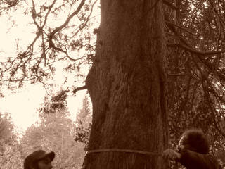 Estudio y medición del bosque , Pell Paisajismo Pell Paisajismo Taman Gaya Country