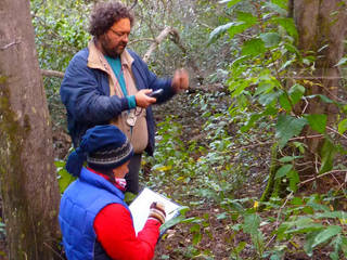 Estudio y medición del bosque , Pell Paisajismo Pell Paisajismo Taman Gaya Country