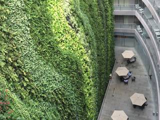 muro vivo Pennsylvania Suites CDMX, Verde360° Verde360° Jardin avant