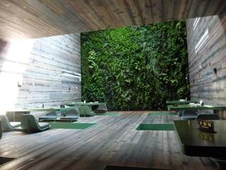 Restaurante Tori Tori Polanco, CDMX, Verde360° Verde360° Commercial spaces