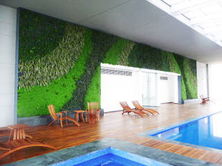 Muros vivos y albercas, Verde360° Verde360° Minimalist pool