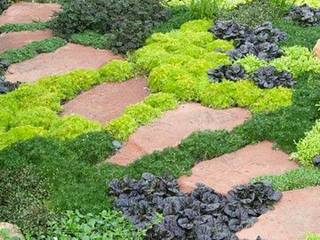 Garden Design elements, Town and Country Gardens Town and Country Gardens Nowoczesny ogród