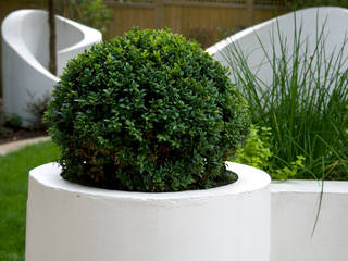Box ball in planter Earth Designs Mediterranean style garden buxus,boxball,evergreen,box,plantingball,plant,ball