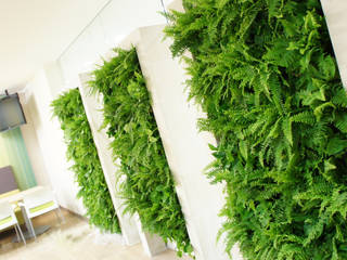 Green Wall, STUDIO COCOONS STUDIO COCOONS Hành lang, sảnh & cầu thang phong cách hiện đại