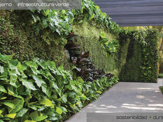 Jardines VERTICALES- Cubiertas VEGETALES, A-CUATTRO ARQUITECTURA A-CUATTRO ARQUITECTURA Jardines en la fachada