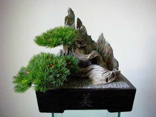 Kunstbonsai, exklusive Einzelanfertigung, Raumdekoration, Jan Pavlinec Jan Pavlinec ห้องทานข้าว ไม้ไผ่ Green