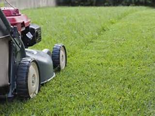 Lawn Mowing Project, Garden Services Pretoria Garden Services Pretoria