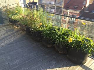 Terrasse de 30m2 plein sud en ville, Urban Garden Designer Urban Garden Designer Varandas, marquises e terraços modernos Madeira Acabamento em madeira