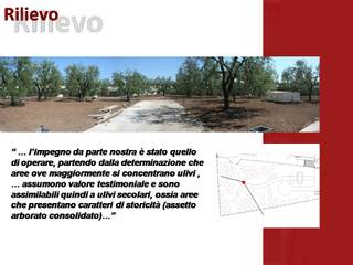 Un Wedding park tra mediterraneità e artificio ..., Natura&Architettura Natura&Architettura 商業空間