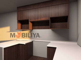 cocina, Muebles y proyectos Mobiliya Muebles y proyectos Mobiliya ครัวบิลท์อิน ไม้ Wood effect