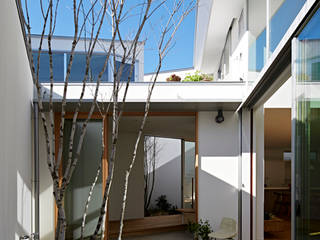 東本町の家, arc-d arc-d Vườn phong cách hiện đại