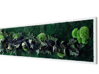 Jungle Moss green walls by Moss Trend , Moss Trend Moss Trend Espaços comerciais Madeira Efeito de madeira