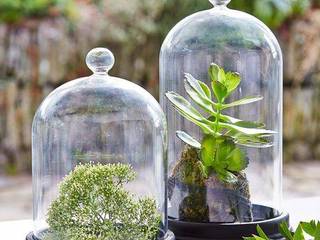 A Place to Show Off , Spacio Collections Spacio Collections Modern Terrace Glass Transparent