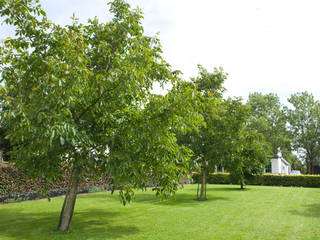 Vijvertuin, Dutch Quality Gardens, Mocking Hoveniers Dutch Quality Gardens, Mocking Hoveniers