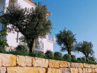 JARDIMGARVE Jardin méditerranéen