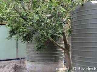 Cape Town Architects RO Borehole Water Purification Plant, Beverley Hui Architects Beverley Hui Architects Carport Métal