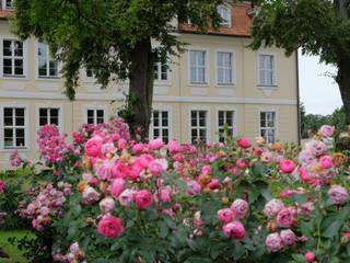 Schlossgarten Grube, guba + sgard Landschaftsarchitekten guba + sgard Landschaftsarchitekten 모던스타일 정원