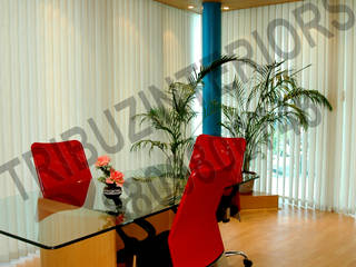 Office, Tribuz Interiors Pvt. Ltd. Tribuz Interiors Pvt. Ltd.