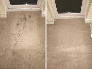 Carpet Cleaning In Portsmouth, Emma Cleaning Emma Cleaning