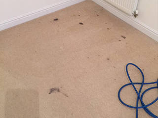 Carpet Cleaning In Portsmouth, Emma Cleaning Emma Cleaning