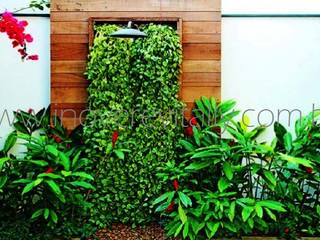 Inove & Revitally Plantas e Jardins sac@inoverevitally.com.br