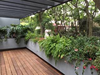 Casa Coyoacán / Remodelación, AWA arquitectos AWA arquitectos Modern balcony, veranda & terrace Wood Wood effect