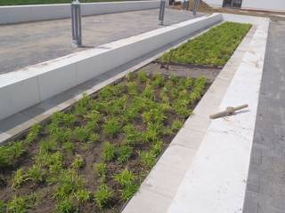 Neubau Außenanlagen FHplus2 - Fachhochschule Dortmund, Hower Landschaftsarchitekten Hower Landschaftsarchitekten Garden