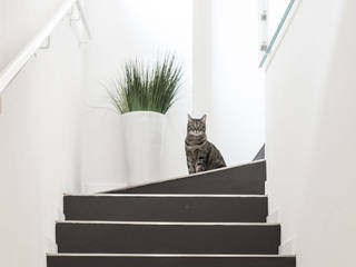 MANSARDA&TERRAZZO, Viu' Architettura Viu' Architettura Modern Corridor, Hallway and Staircase