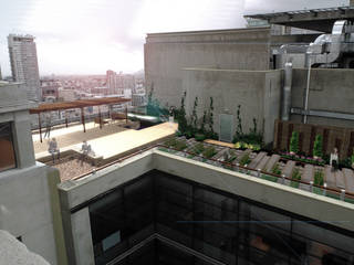 Azotea Trabajadores contraloría general de la república , Landscape_lab Landscape_lab Modern balcony, veranda & terrace Wood Wood effect