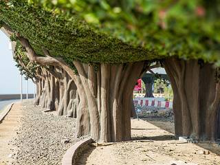 #SUNWING artificial foliage hedges in a forest bridges project in the #Dubai, Sunwing Industrial Co., Ltd. Sunwing Industrial Co., Ltd. Commercial spaces Plastic