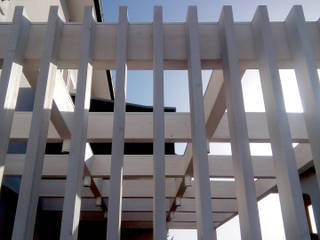 casa RS, msplus architettura msplus architettura Front yard Wood Wood effect