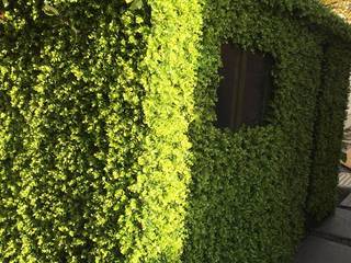 Artificial Green Wall Dome Garden Project, Hedged In Ltd Hedged In Ltd 트로피컬 정원