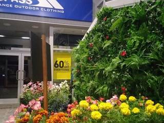 Artificial Green Wall Dome Garden Project, Hedged In Ltd Hedged In Ltd Tropical style garage/shed