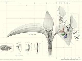 s, Maria Andriola - homify Maria Andriola - homify Modern Evler