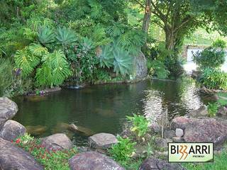 Construção de lago natural com pedras naturais, Bizzarri Pedras Bizzarri Pedras Tropical style garden