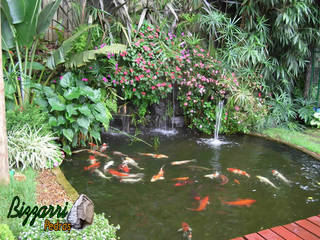 Design em lago de carpas por Bizzarri Pedras, Bizzarri Pedras Bizzarri Pedras Tropical style gardens