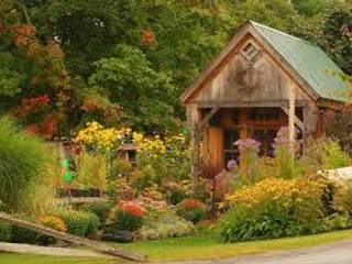 Haus, Carolina Torres Arzamendi Carolina Torres Arzamendi Garden Shed لکڑی Wood effect