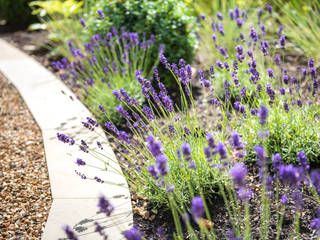 Shape and Colour for a Spacious Front Garden and Driveway, Kate Eyre Garden Design Kate Eyre Garden Design Taman Modern