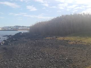 Eixo Pedonal de Ligação da Cidade ao Porto da Praia da Vitória, PE. Projectos de Engenharia, LDa PE. Projectos de Engenharia, LDa Pisos