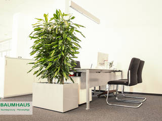Pflanzen - der ideale Raumteiler, BAUMHAUS GmbH Raumbegrünung Pflanzenpflege BAUMHAUS GmbH Raumbegrünung Pflanzenpflege Gewerbeflächen